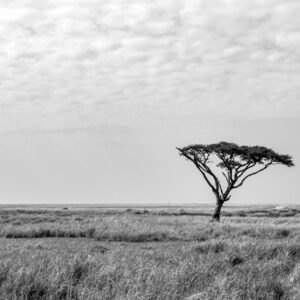 WONDERS OF OUR PLANET by Camille Massida Photography